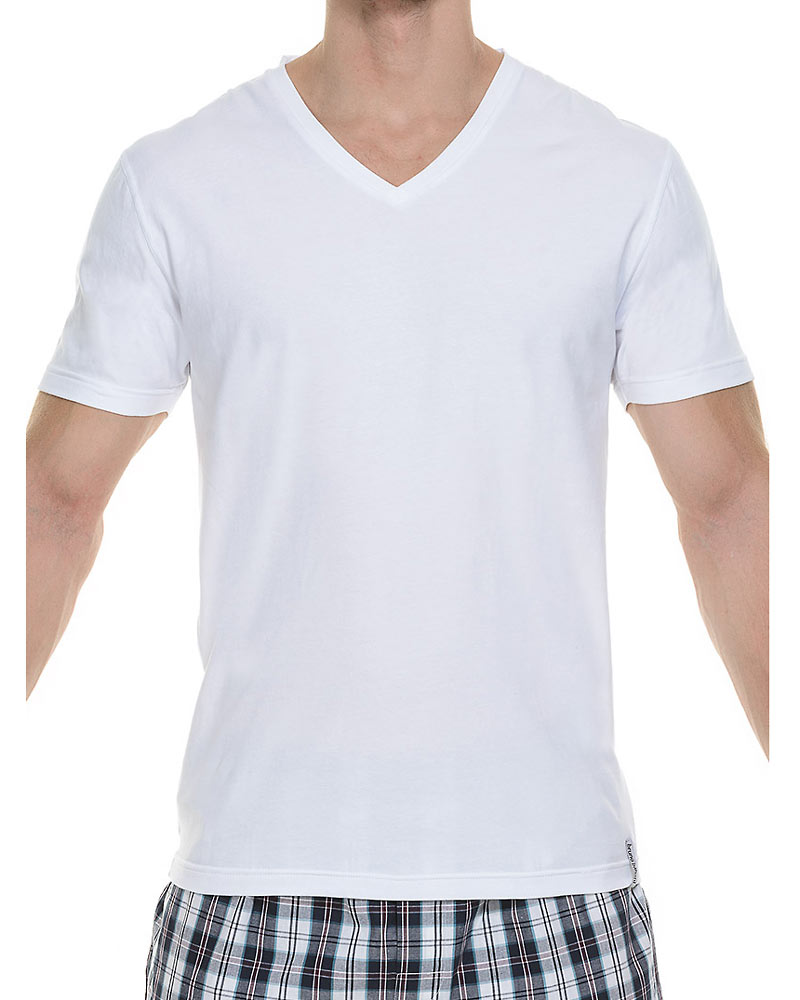Coloured Cotton V-Shirt von Bruno Banani in 1x in Weiß und 1x in Türkis - Rückenansicht